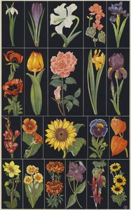 Pagina uit kinderprentenboek Bloemen (kleurenlitho) door European School
