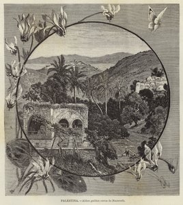 Palestina, Galilese dorp nabij Nazareth