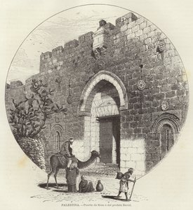 Palestina, Sionpoort of de profeet David door European School