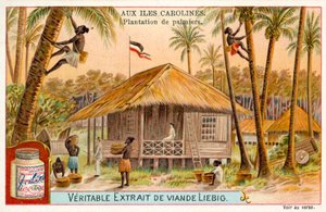 Palmplantage, Caroline-eilanden (chromolitho)