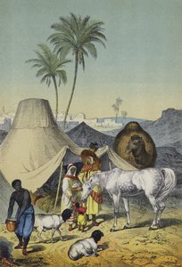 Mensen, dieren en planten van Noord-Afrika en Arabië door European School