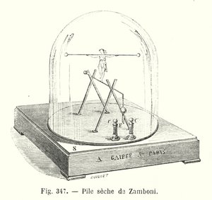 Zamboni