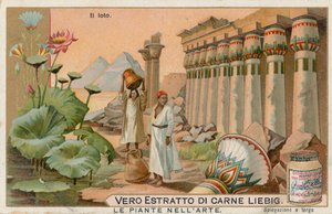 Planten in de kunst, Liebig-kaart, begin 20e eeuw (chromo) door European School