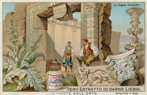 Planten in de kunst, Liebig-kaart, begin 20e eeuw (chromo) door European School