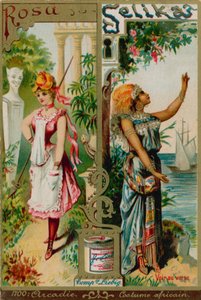 Rosa en Selika