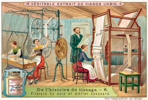 Zijde spinnen en een Jacquard weefgetouw