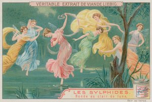 Sylfen Dansen in het Maanlicht