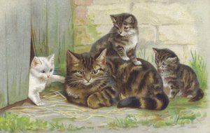 Tabby poes met drie kittens (chromolitho) door European School