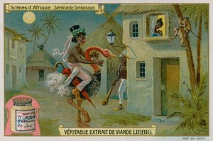 De Fantasie Serenade