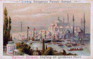 De Gouden Hoorn in Istanbul