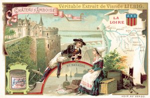 De Loire en een uitzicht op het kasteel van Amboise