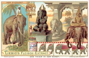 De olifant