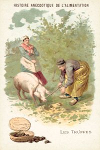 Truffels (chromolitho) door European School