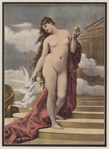 Venus door European School