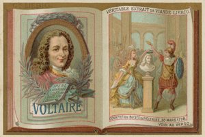 Voltaire door European School