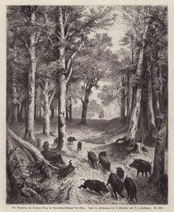 Wilde zwijnen op de Lorenzer Berg in het Keizerlijk Park in Wenen, Oostenrijk door European School