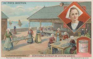 Vrouwen bereiden sardines door European School