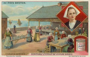 Vrouwen bereiden sardines door European School