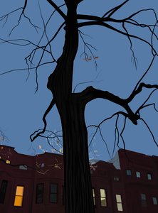 Huizen en bomen bij nacht, Brooklyn. (digitale kunst) door Evan Sklar