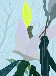 Lily (digitale kunst) door Evan Sklar