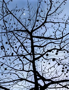 London PlaneTree and Moon, Brooklyn (digitale kunst)