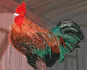 Haan in schuur, 2018 (met de hand getekend op een iPad met een Apple potlood)