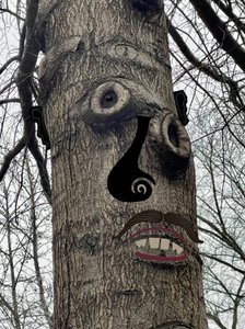 Boomgezicht , ca 2020-24 (digitale kunst)