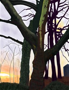 Bomen, Prospect Park, Brooklyn (digitale kunst) door Evan Sklar