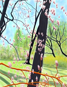 Tulpenboom