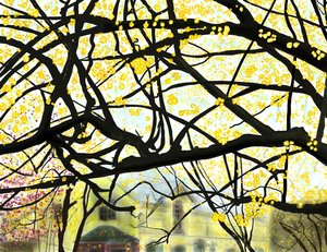Geel bloeiende boom, Brooklyn (digitale kunst)