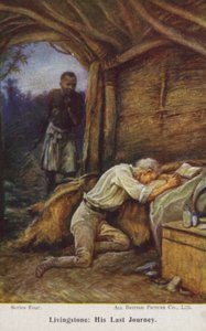 David Livingstone door Evelyn Stuart Hardy