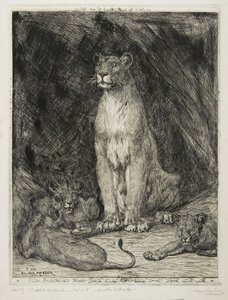 Leeuwin zittend en drie welpen, 1888 door Evert van Muyden