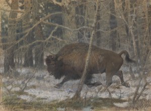 De houtbizon door Evgeny Alexandrovich Tichmenev