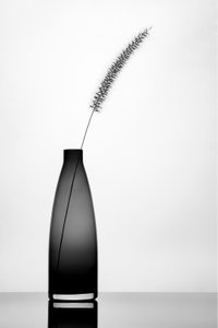  door Eyal Amer