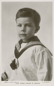 ZKH Prins Sigvard van Zweden, 1913
