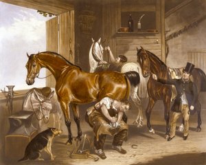 De Dierenarts (gegraveerd door J.R. Mackrell)