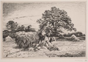 Herfstlandschap