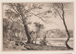 Het bos bij Silkeborg richting Fruens Bank door F. Hendriksen