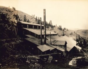 Gloster Molen, 60 zegels, 24 pannen, 12 kolonisten