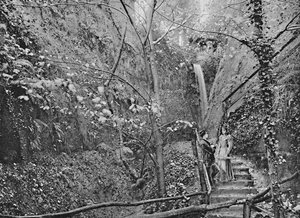 Shanklin Chine, c1896