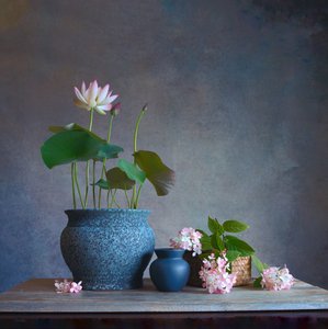 Rustig lotus-stilleven