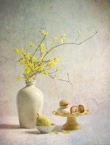 De betoverende gele forsythia door Fangping Zhou