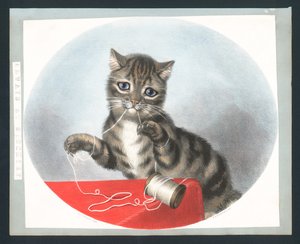 Altijd kattenkwaad - Victoriaanse wenskaart