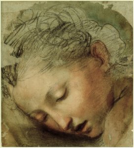 Vrouwenhoofd, 1568