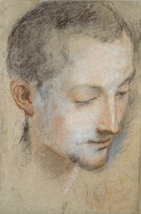 Studie van het hoofd van een jonge man door Federico Barocci