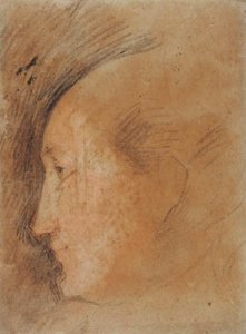Hoofd van een vrouw in profiel naar links door Federico Barocci