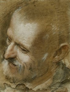 Studie van het hoofd van een bebaarde man naar links gedraaid, 1590