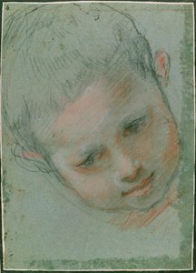 Het hoofd van een jongen, c.1586-89