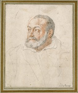 Portret van een man