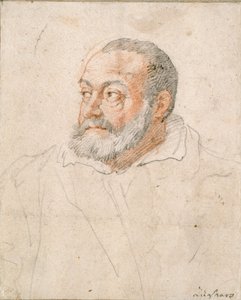Portret van een man, Barozzi da Vignola, 16e eeuw